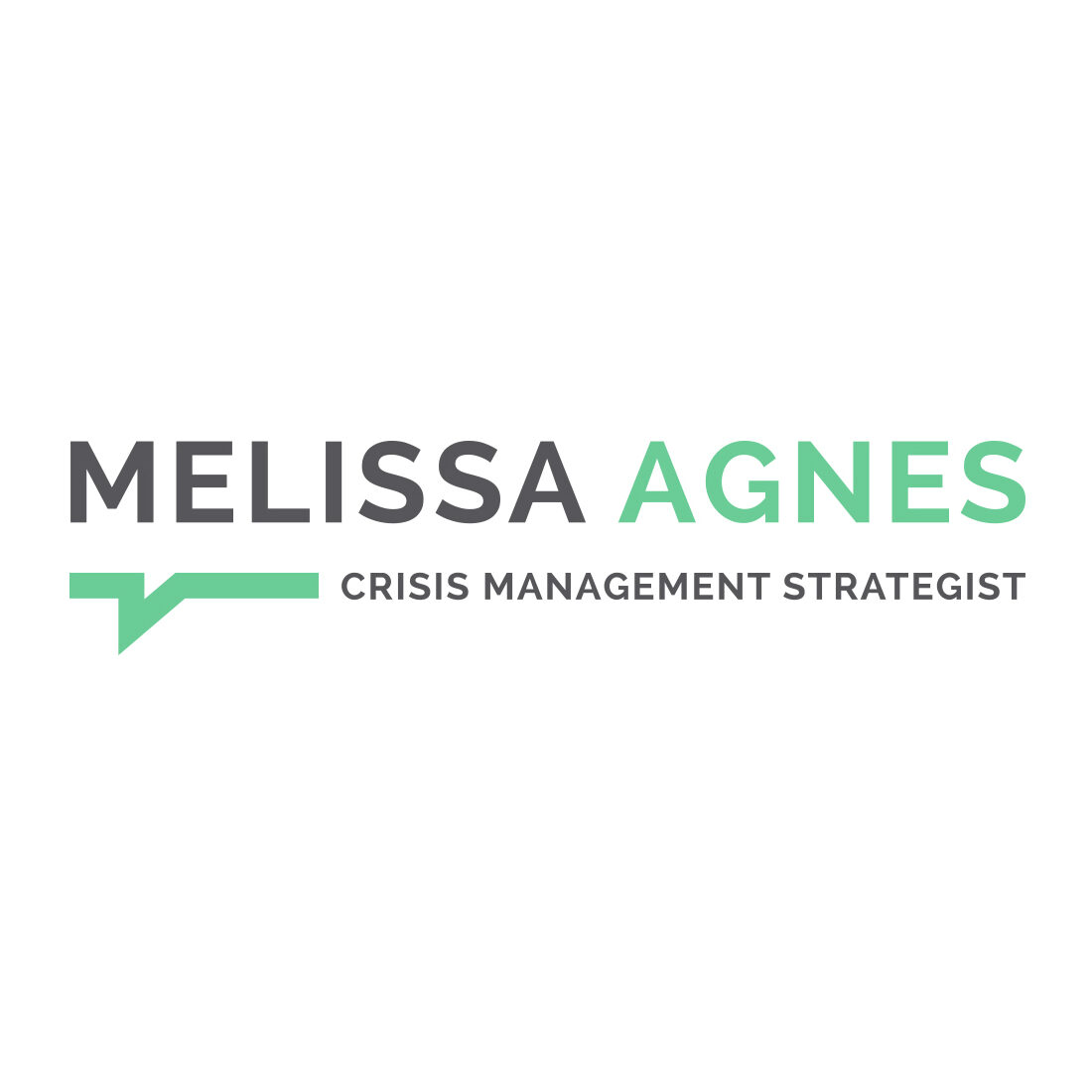 Melissa Agnes Logo